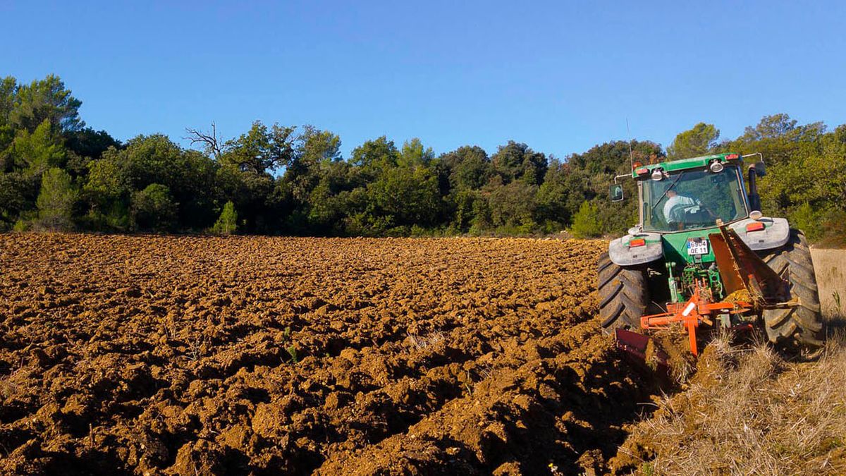 La Provincia de Buenos Aires congeló el Impuesto Inmobiliario Rural (Foto: archivo)