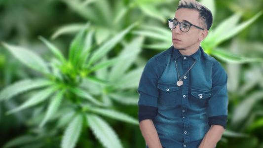 Rodrigo Noya pidió por la legalización de la marihuana