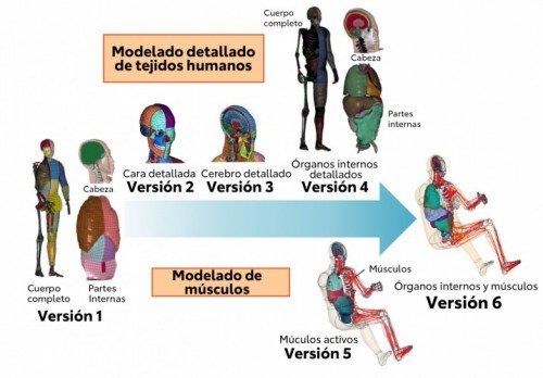 Los ‘dummies’ virtuales (THUMS) de Toyota cumplen 20 años trabajando por la seguridad