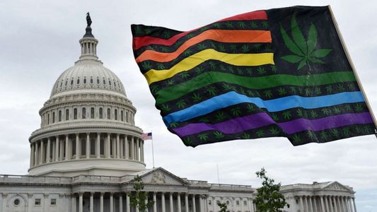 Organizaciones de EE.UU. desconfían del anuncio de Joe Biden sobre la marihuana: Esperó a que sea políticamente útil