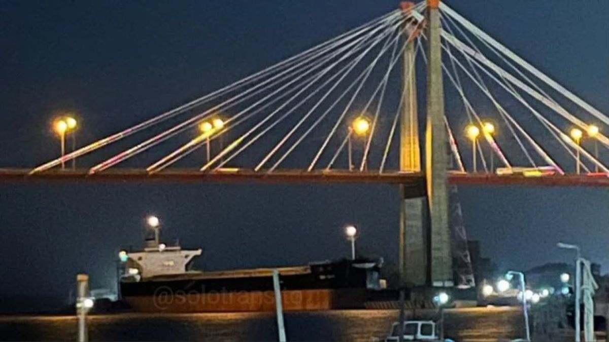 Un barco cerealero chocó contra una de las columnas del puente Zárate-Brazo Largo.