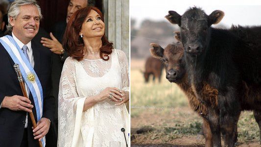 Frente al precio de la carne, el Gobierno mete la cabeza en su caparazón