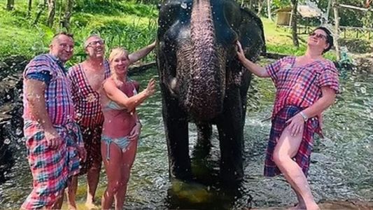 El clásico rito con elefantes en Tailandia que terminó con una turista muerta