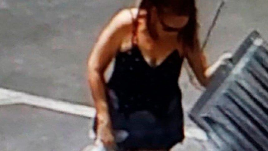Indignante: una mujer tiró a la basura a siete cachorros