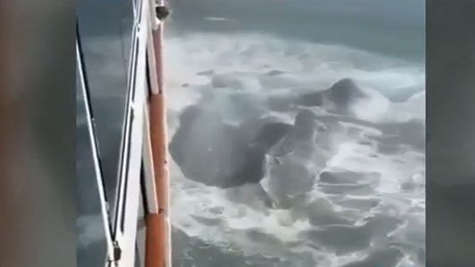 Un crucero colisionó contra un iceberg en Alaska y debió retornar al puerto: ¿qué pasó?