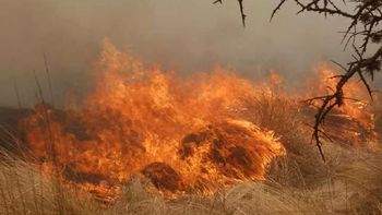Salta es la única provincia con un foco de incendio forestal activo en todo el país