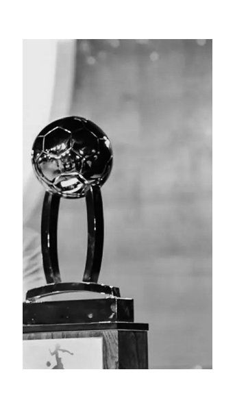 Primera y última: la nueva Copa de la Liga Profesional no podrá llamarse Diego Maradona por cuestiones legales