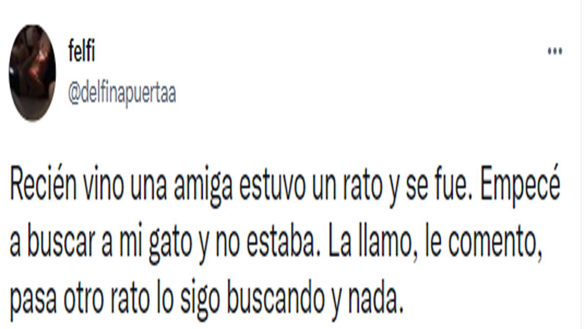 No encontraba a su gato y lo buscó por toda la casa: lo encontró en un lugar totalmente insólito