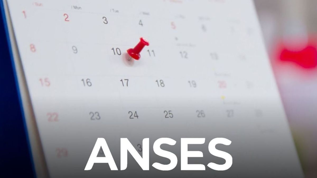 ANSES: comienza el calendario de pagos de JUNIO 2024