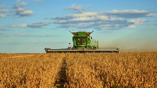 El Gobierno oficializó la suba de retenciones a la soja y el maíz desde el 1° de julio