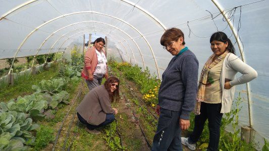 Maíz: la demanda de China y Estados Unidos marcan la agenda