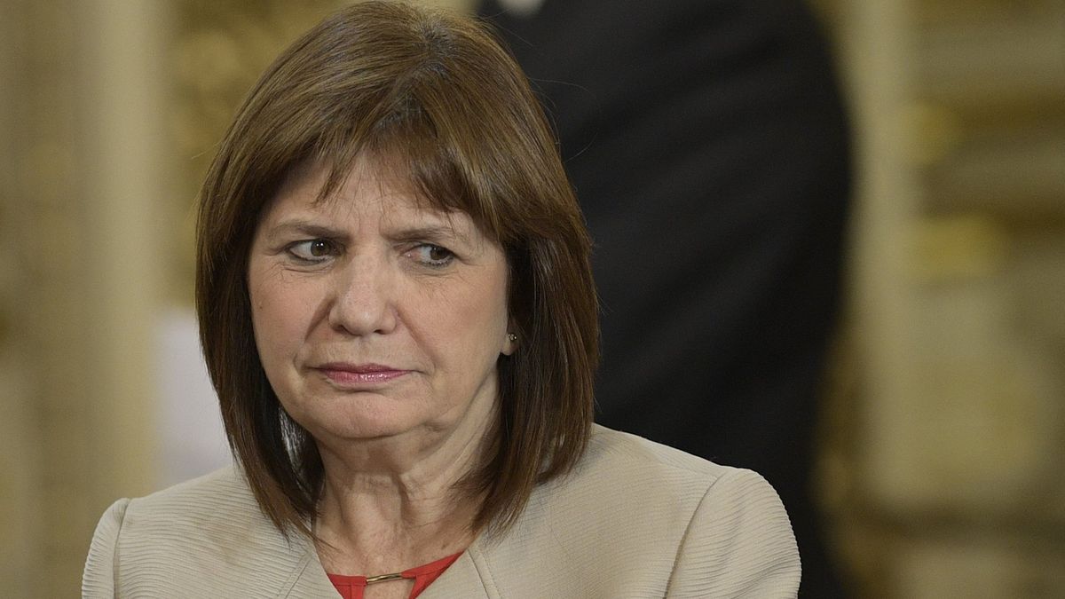 Patricia Bullrich Dijo Que La Implementación De Pistolas Taser Es Una ...