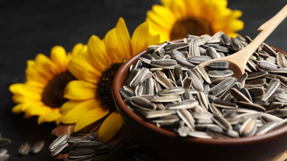 Semillas de girasol: el snack saludable que deberías comer a diario.