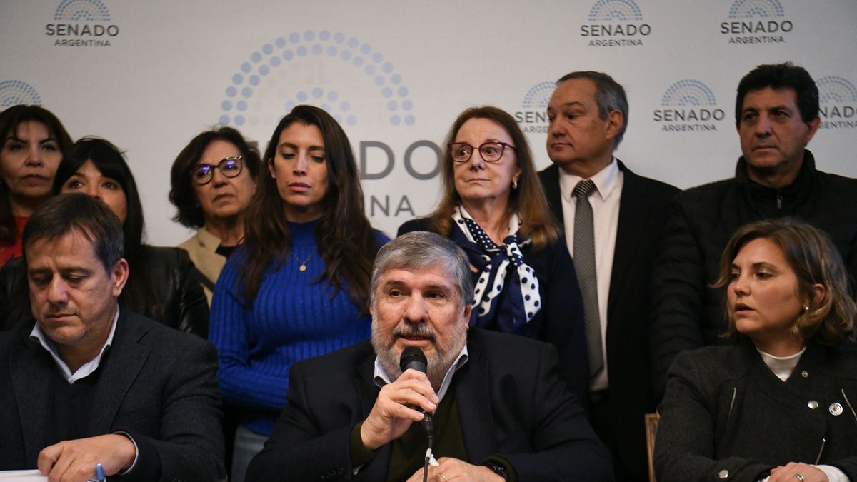 La oposición en el Senado busca dictamen por el financiamiento universitario y la emergencia sanitaria en el Garrahan