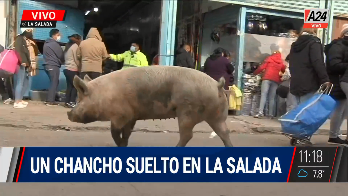 Así está La Salada: sin restricciones