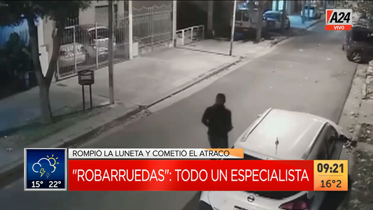 Un ladrón robarruedas, un especialista profesional