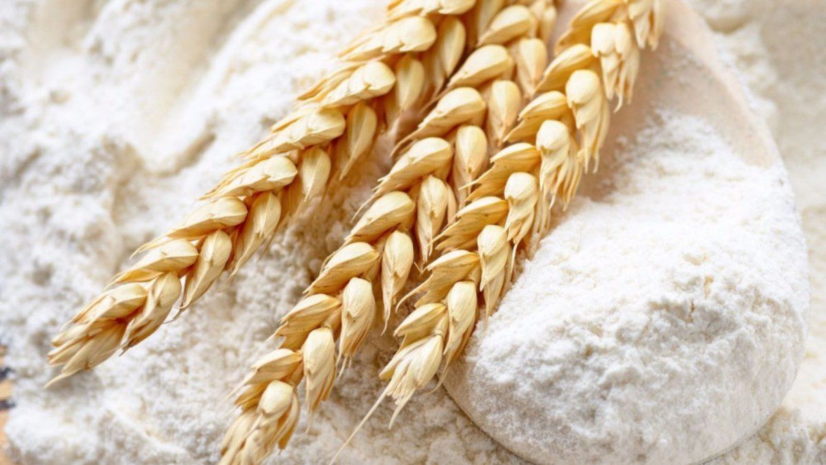 El precio del trigo y sus consecuencias en el pan.&nbsp;