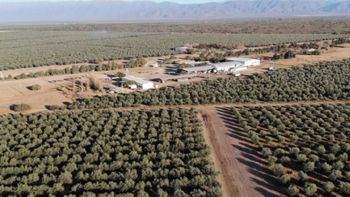 PYME riojana exportó por primera vez aceite de oliva a Bután