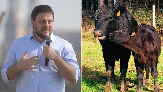 Leandro Santoro opinó sobre el consumo de carne: La humanidad va a ir hacia otras formas de alimentación