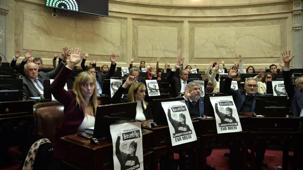 Qué puede pasar con los cambios que votó el Senado a jubilaciones y discapacidad