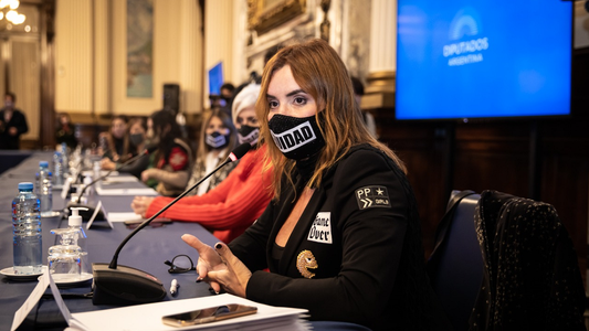 Diputadas avalaron el tratamiento para la Ley de Equidad en medios de comunicación