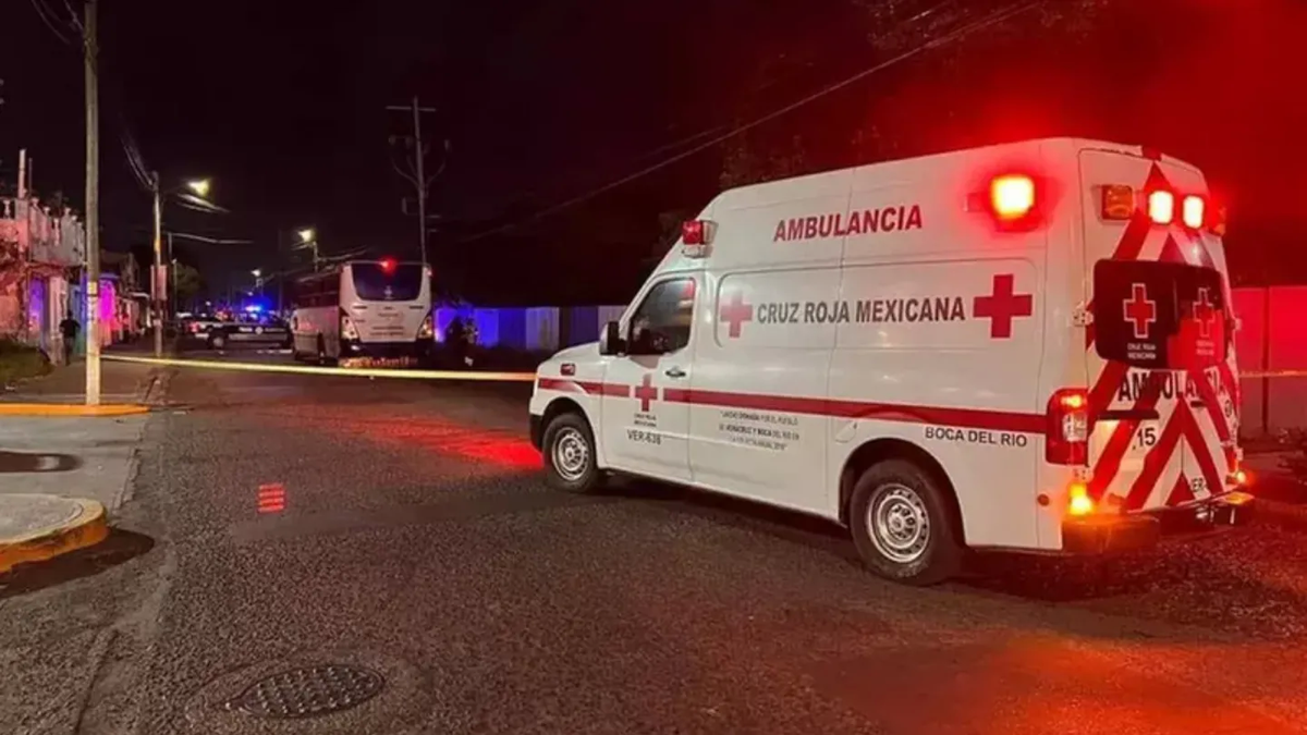 Dramático: un nene de 7 años murió tras sacar la cabeza por la ventanilla de un colectivo y chocarse un poste