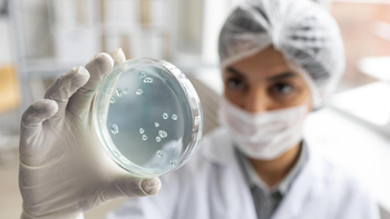 Una bacteria intestinal sorprende a la ciencia: podría potenciar la fuerza muscular y cambiar el envejecimiento